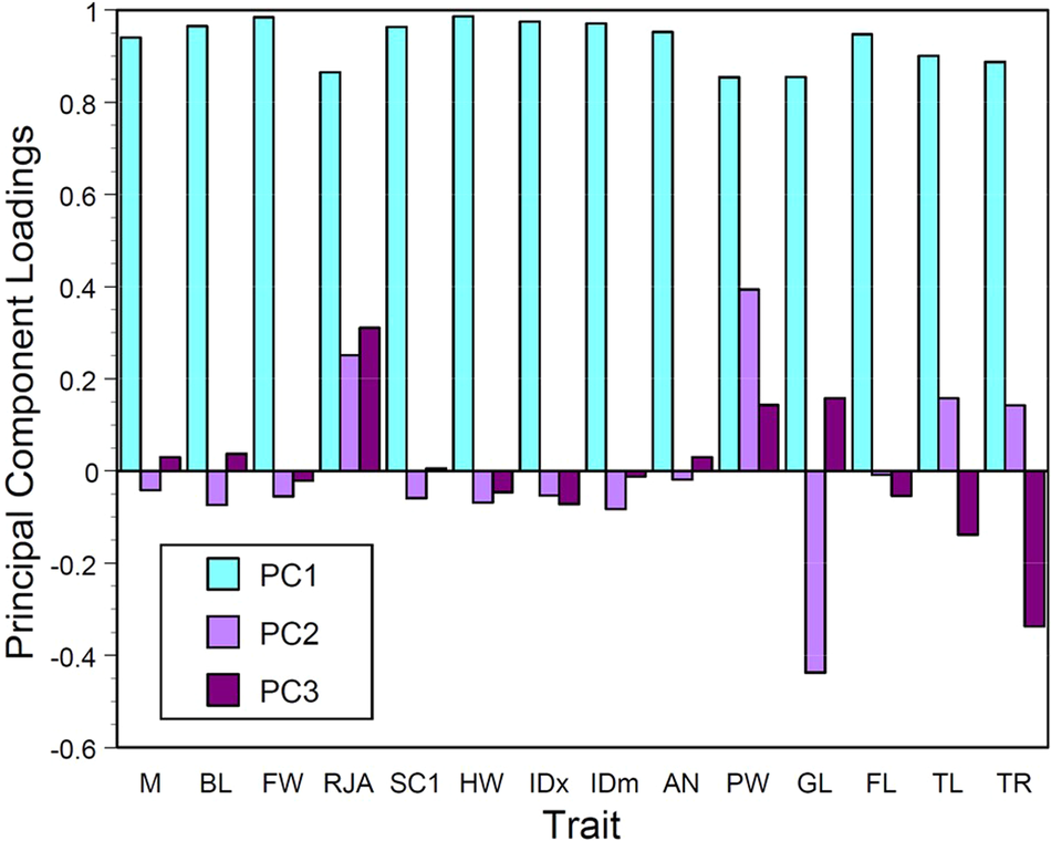 Fig. 2: Principle component analysis reveals new morphological variables.