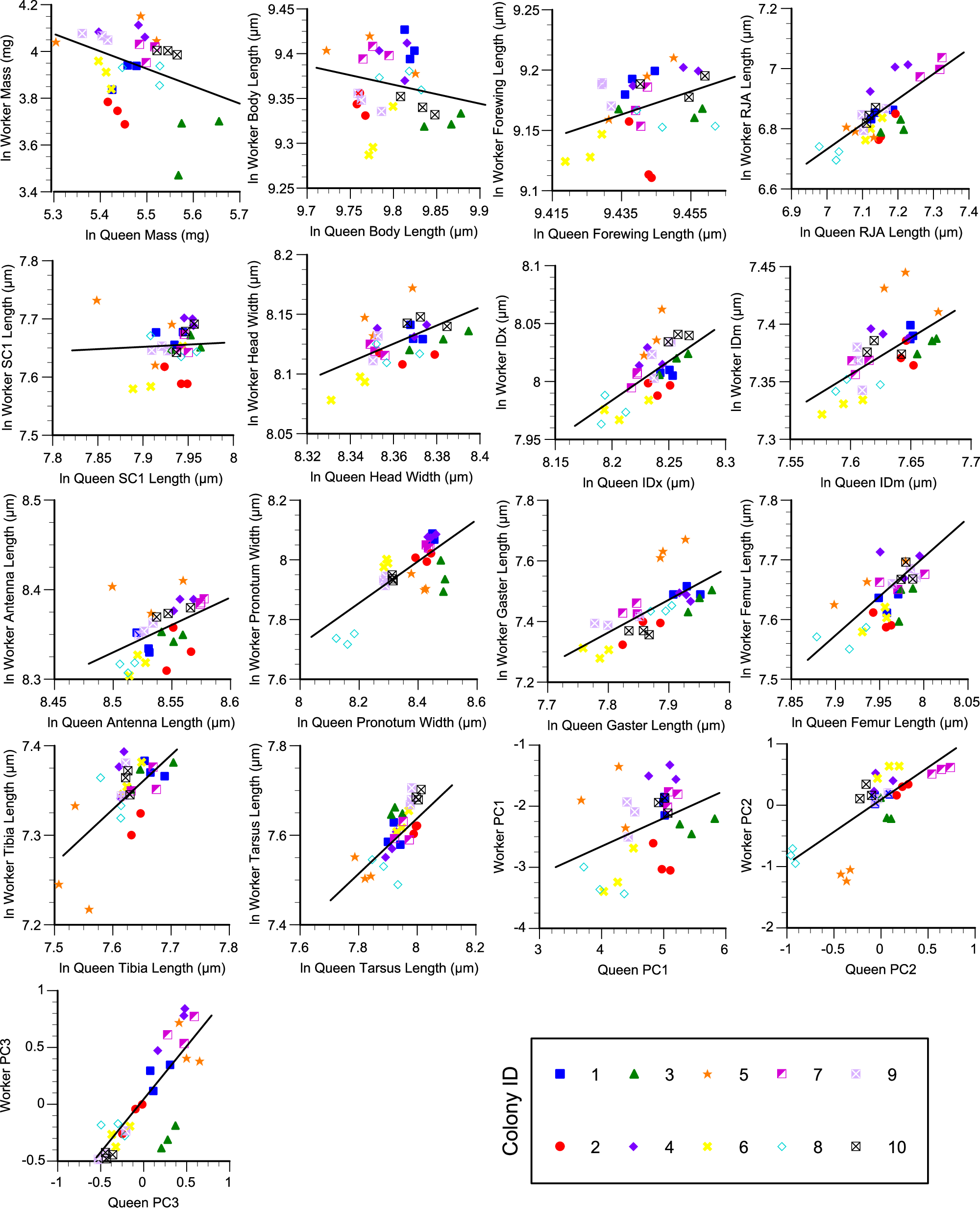 Fig. 5: The across colony caste correlation for V. maculifrons traits.