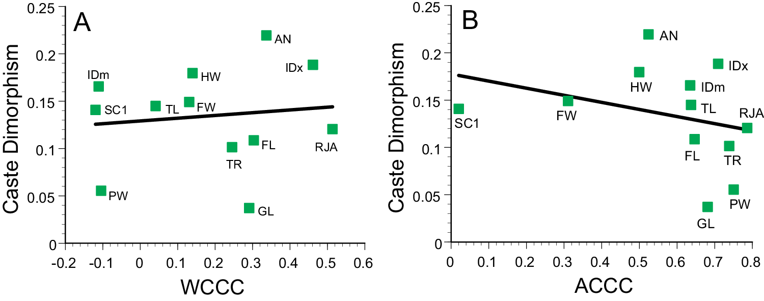 Fig. 6: Weak relationships between caste correlations and caste dimorphism reveal a lack of evolutionary conflict.