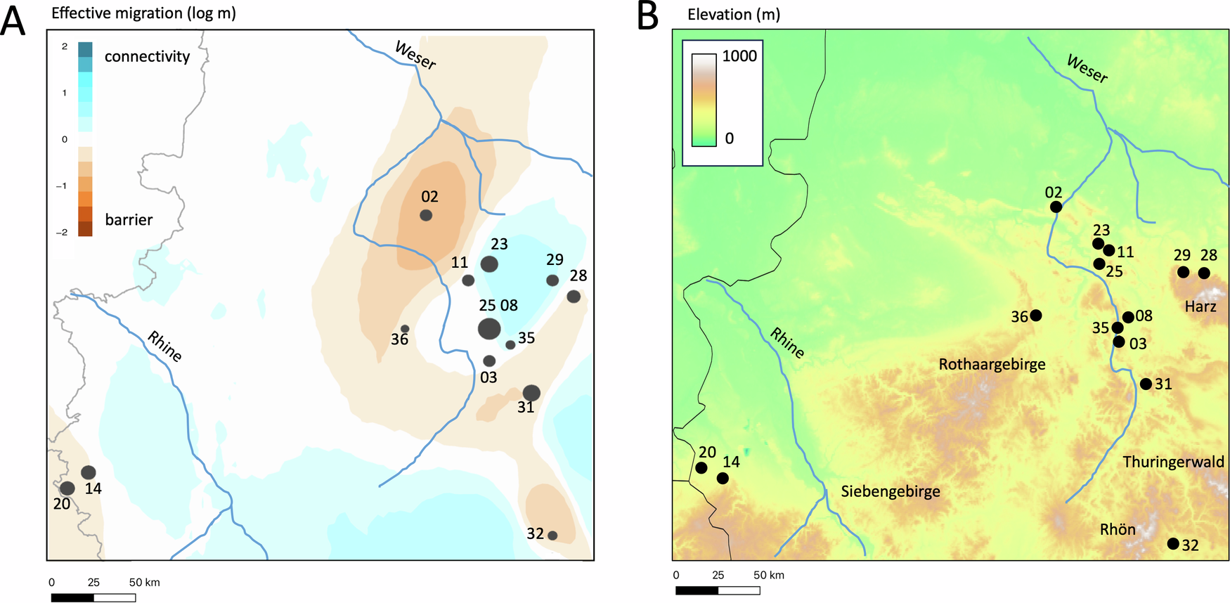 Fig. 3: Estimated effective migration and geographic barriers.
