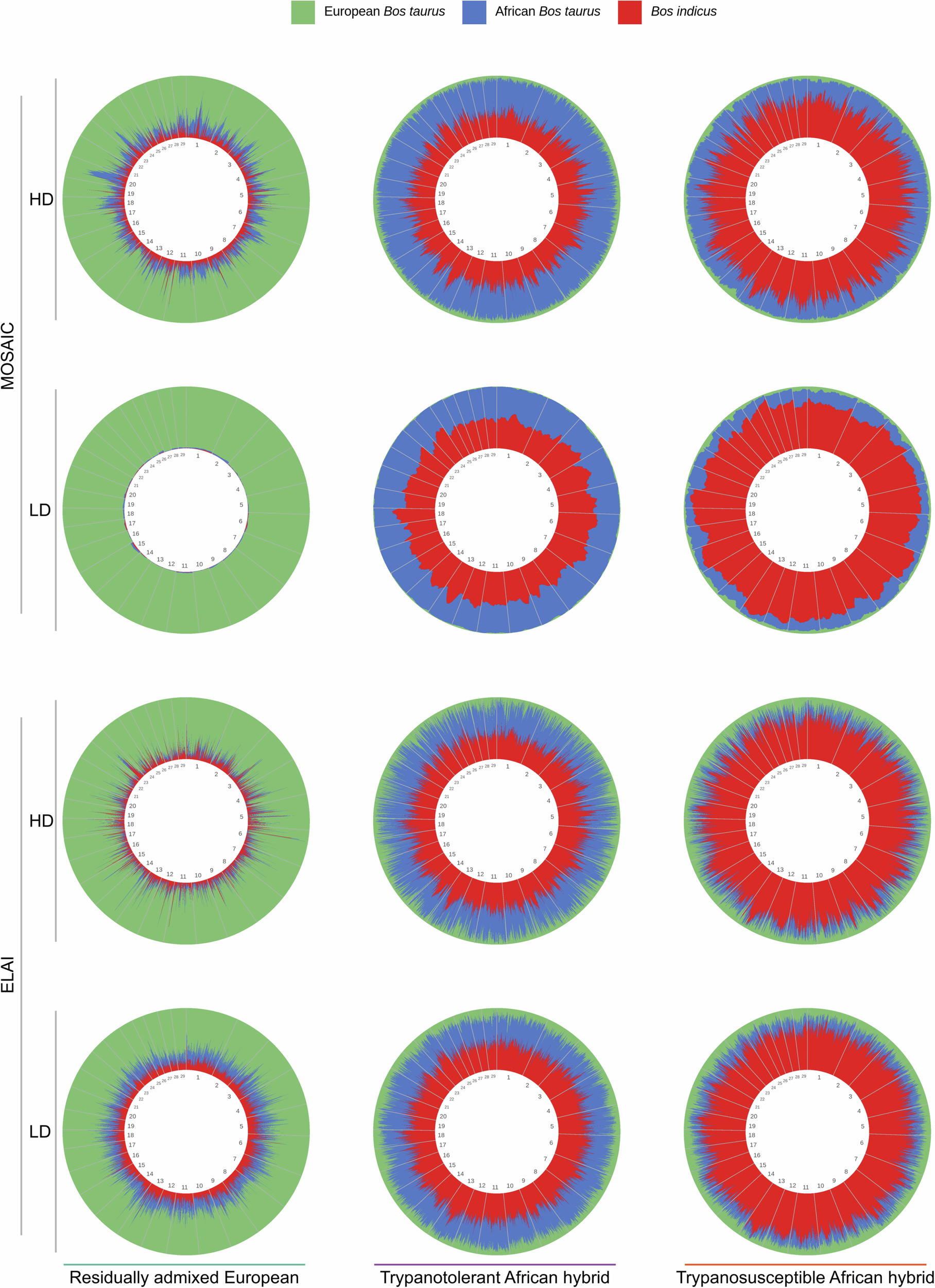 Fig. 5: Local ancestry plots showing weighted mean European Bos taurus, African B. taurus, and B. indicus ancestry components.