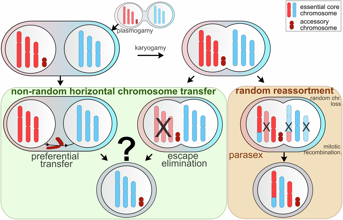 Accessorize Your Life: Transforming Essentials into Statements