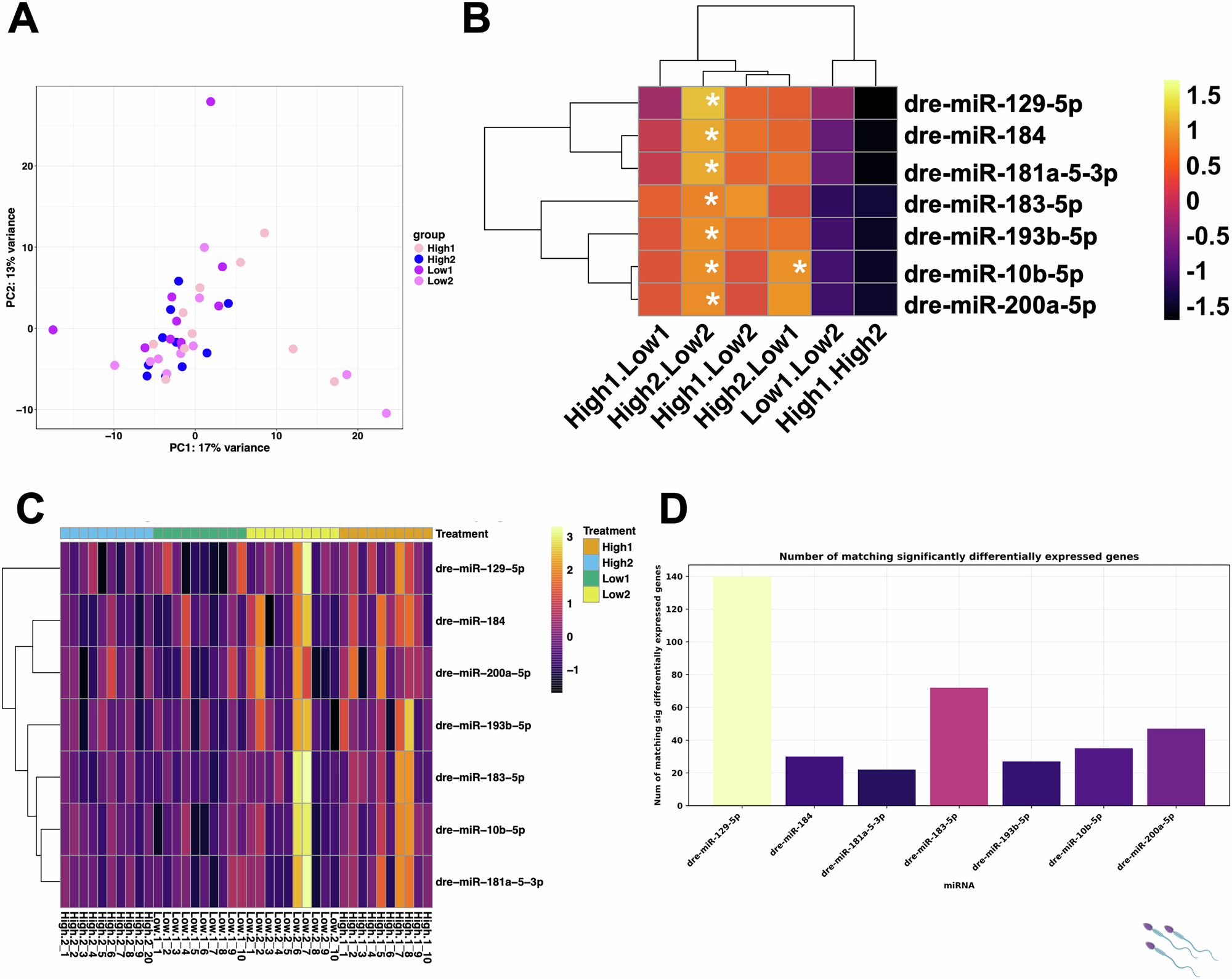 Fig. 2: Differential expression of miRNAs in sperm of males exposed to High and Low male-male competition environments.