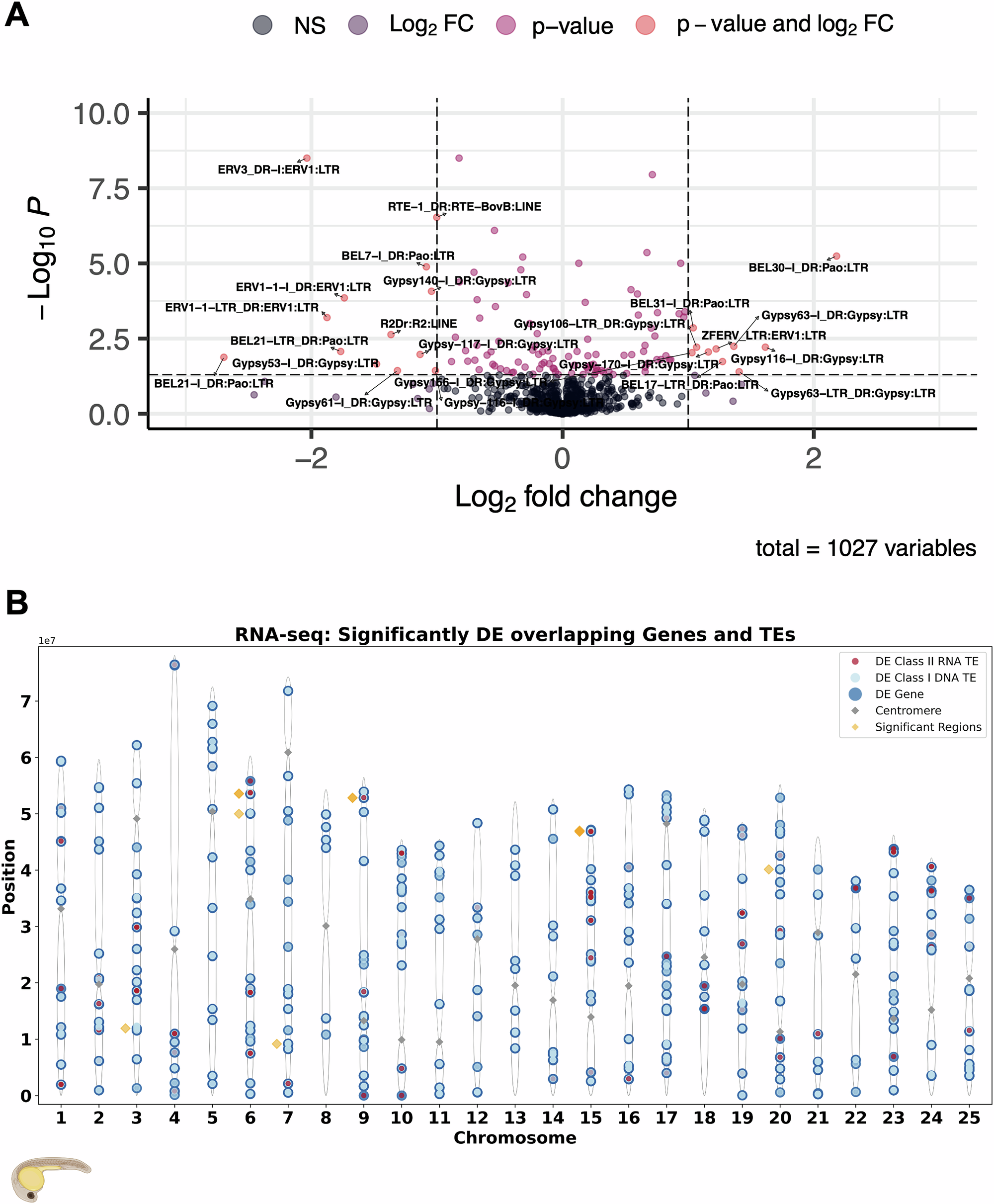 Fig. 5: Differential expression of TE transcripts by class and family in embryos fathered by males from High versus Low competition environments.