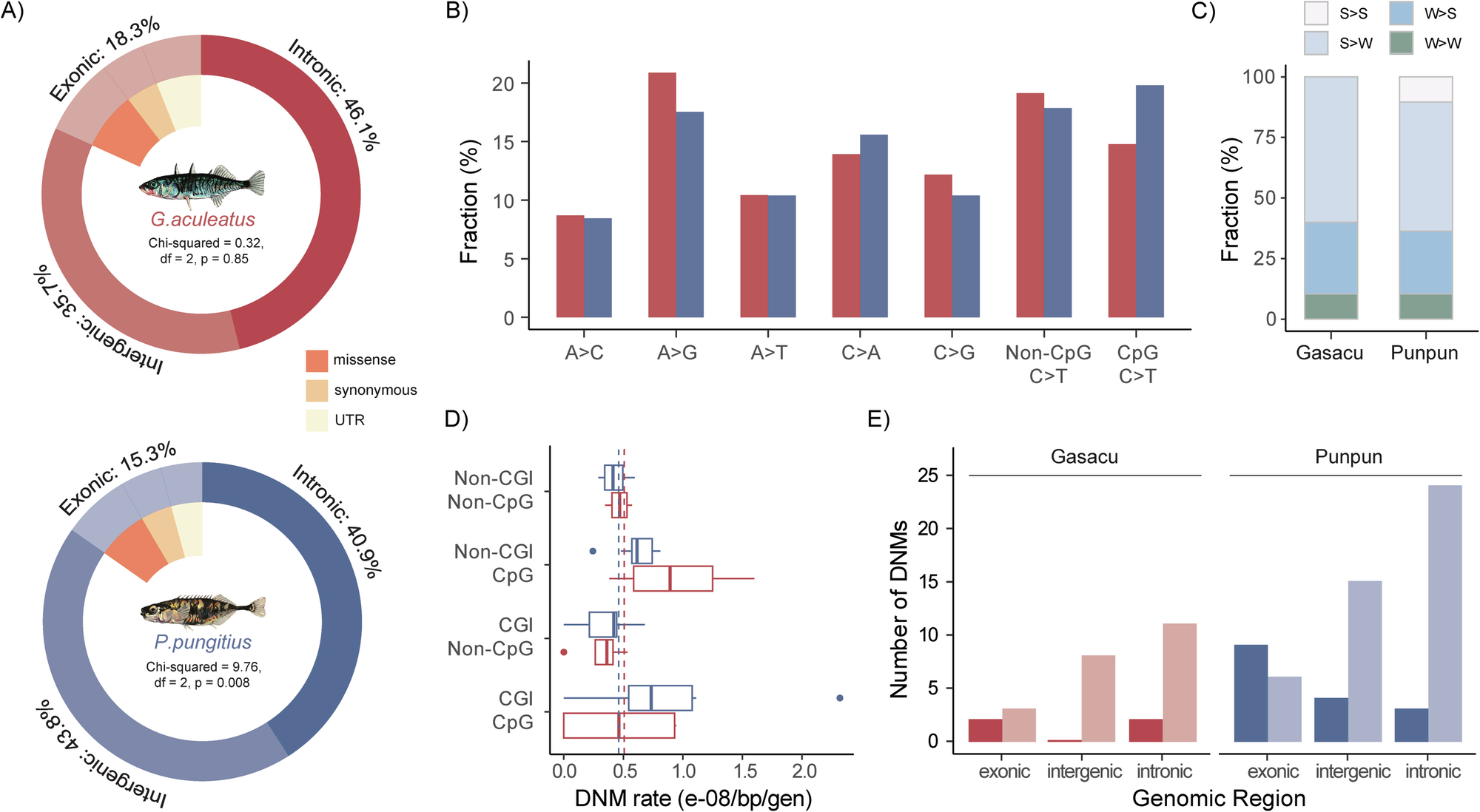 Fig. 2: Genomic landscape of de novo mutations (DNMs) in three- (G. aculeatus) and nine-spined (P. pungitius) sticklebacks.