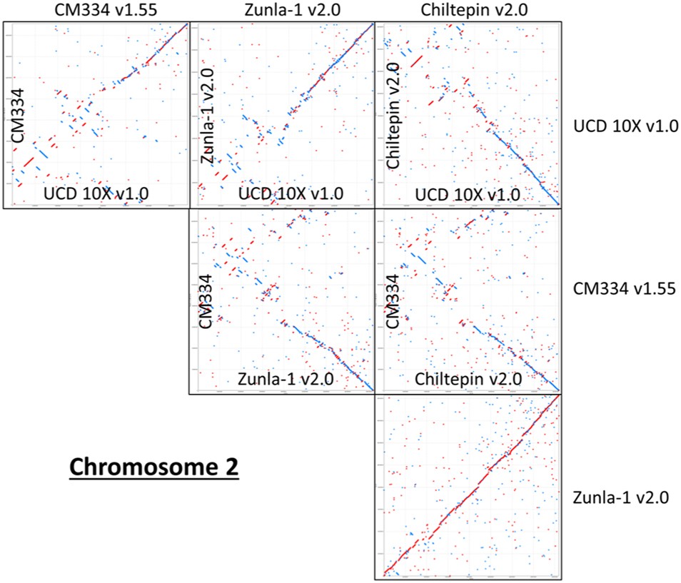 Fig. 6: Comparison of 10x assembly versus other pepper assemblies.