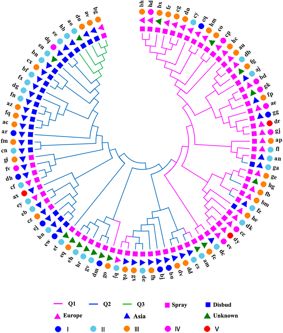 Genome-wide association study identifies favorable SNP alleles and  candidate genes for waterlogging tolerance in chrysanthemums | Horticulture  Research