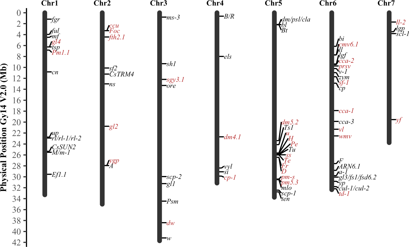Fig. 2: Chromosomal locations of 81 cloned (black) or fine mapped (red) genes in cucumber.