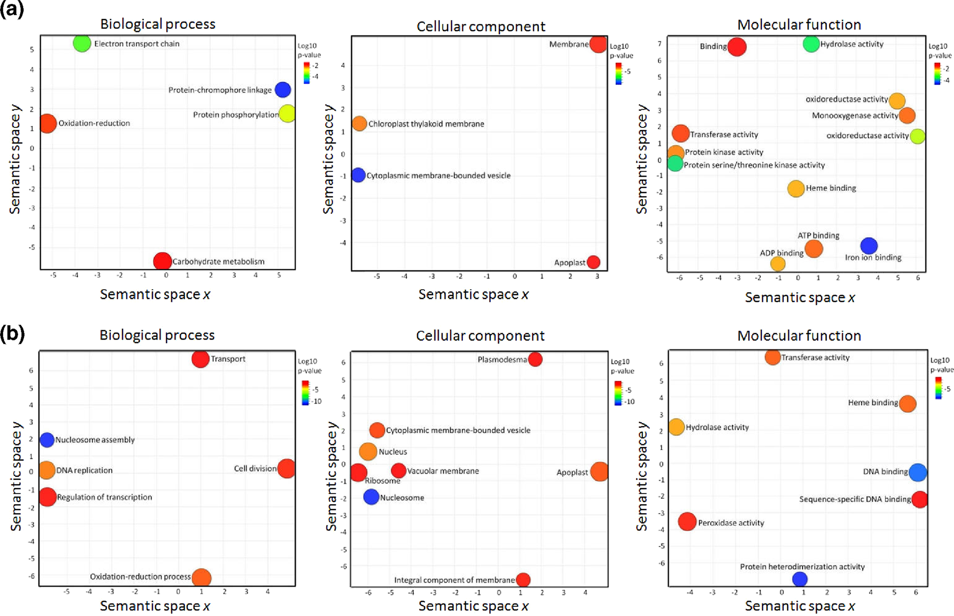 Fig. 7: GO enrichment analysis.