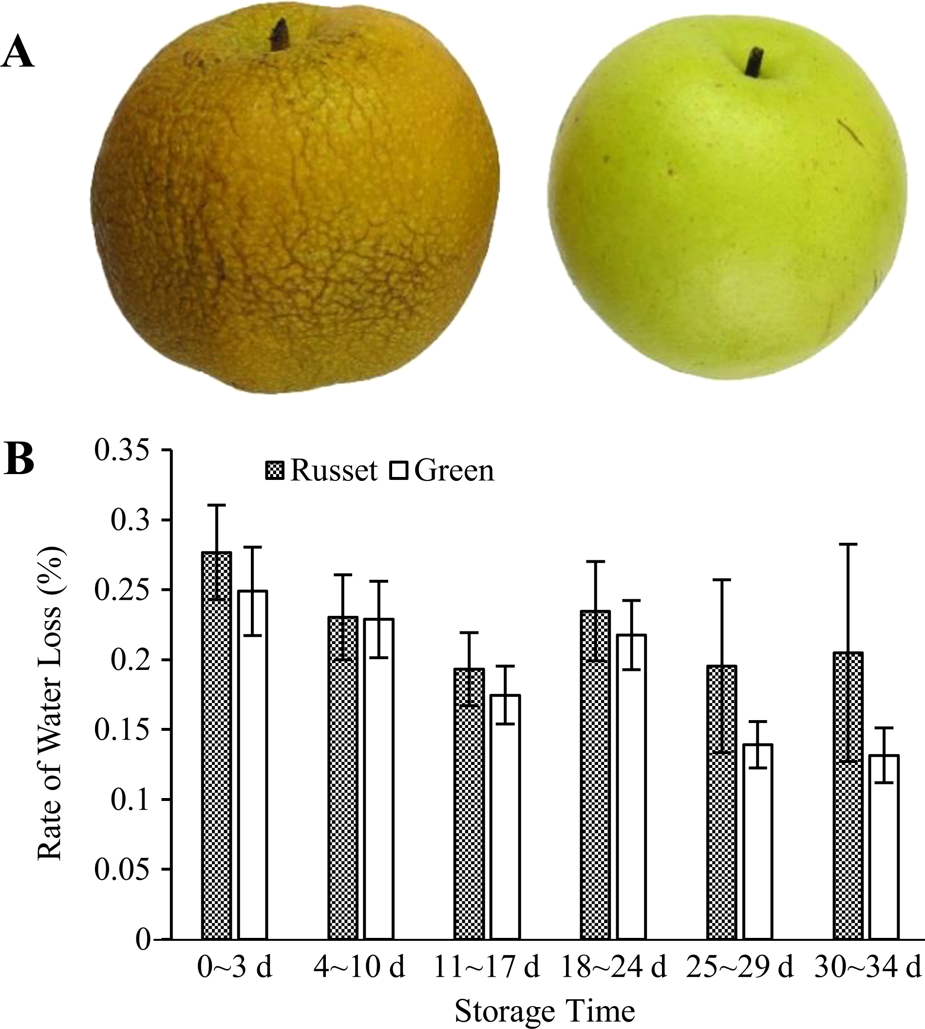 Fig. 2: RWL of the russet and green skin fruit of sand pear at different storage periods under room conditions after harvest.