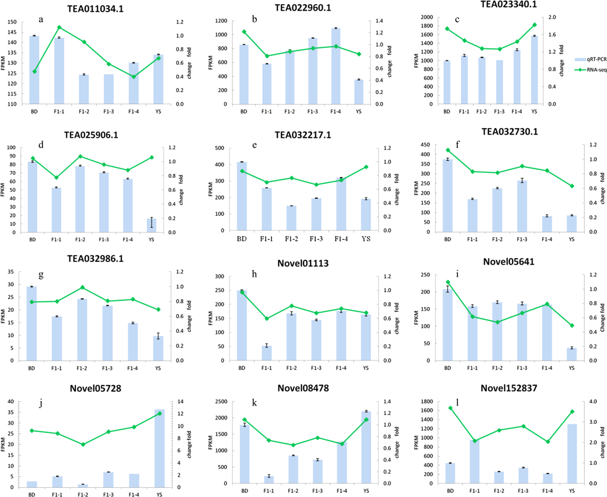Fig. 1: Verification of the relative gene expression levels by qRT-PCR analysis.
