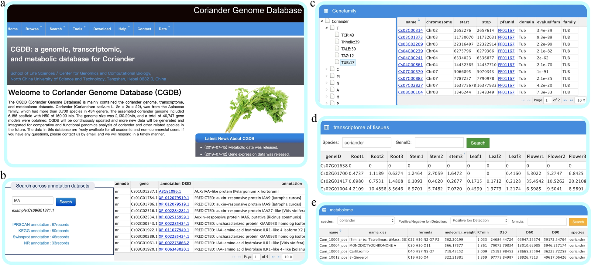 Fig. 3: The main functions of the browse and search module.