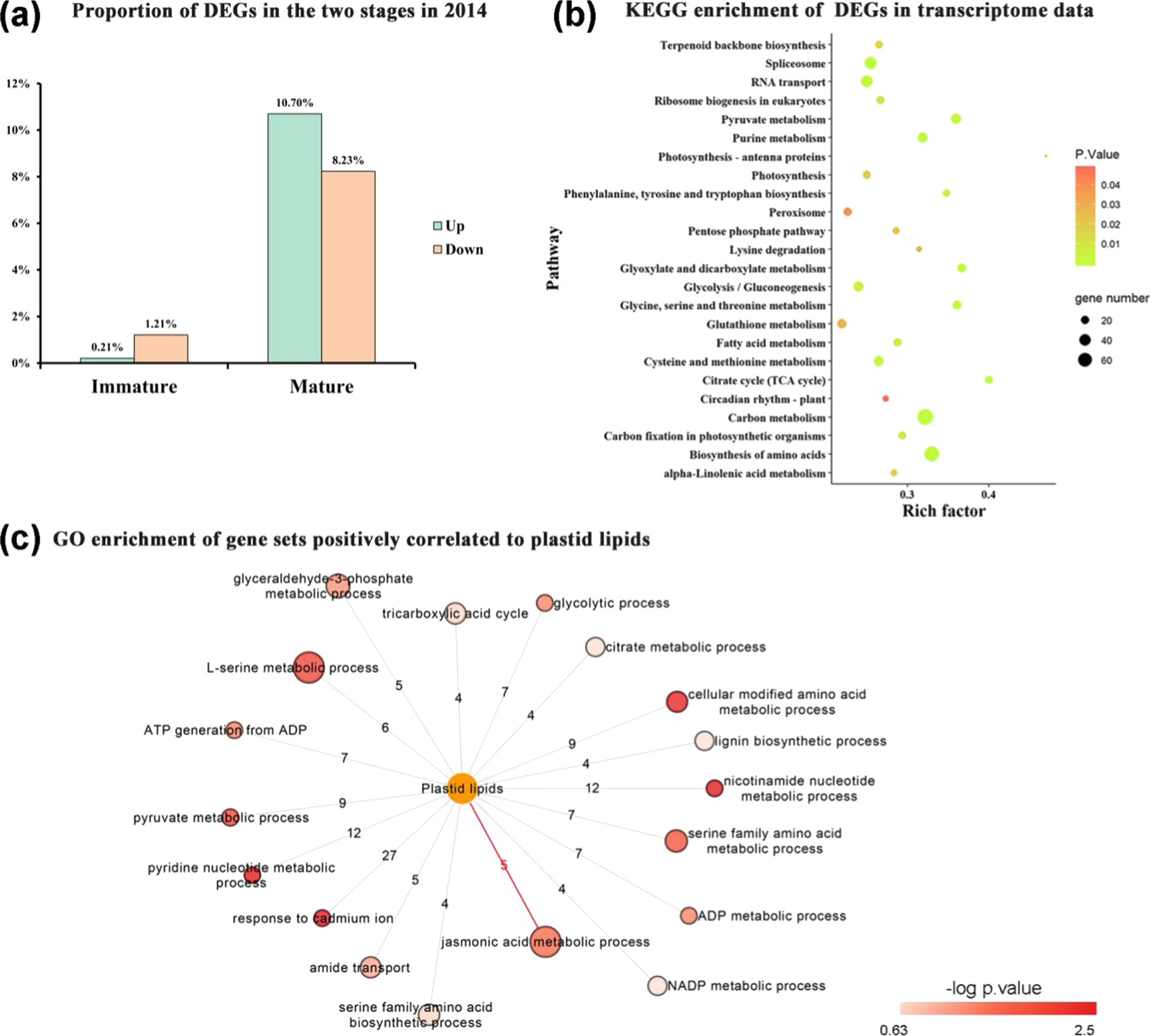 Fig. 5: Transcriptomic analysis of WT and MT.