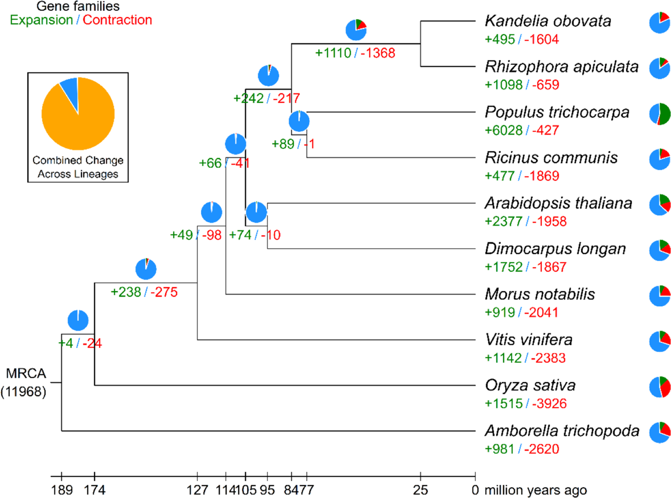 Fig. 3: The expansion and contraction of gene families.