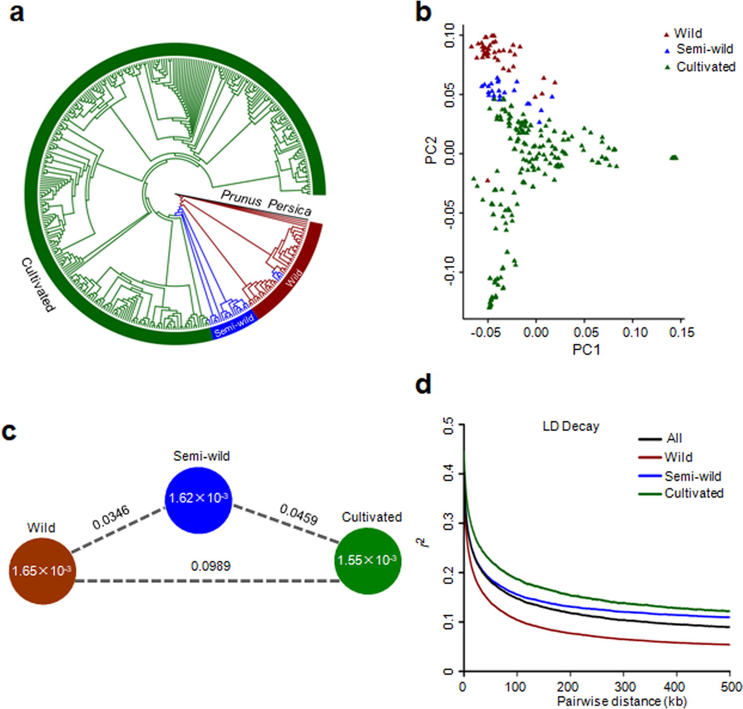 Fig. 1: Population diversity and genetic differentiation analysis of wild, semi-wild and cultivated jujubes.