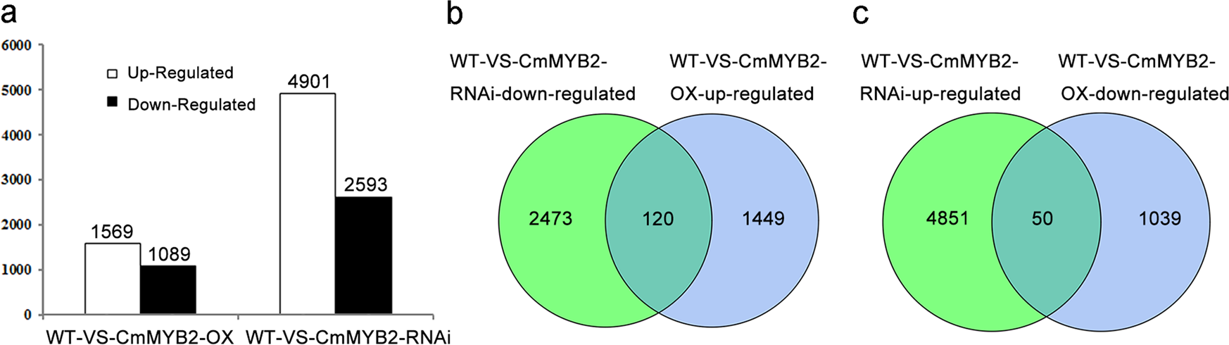 Fig. 3: Unigenes transcribed differentially between WT and transgenic chrysanthemum.