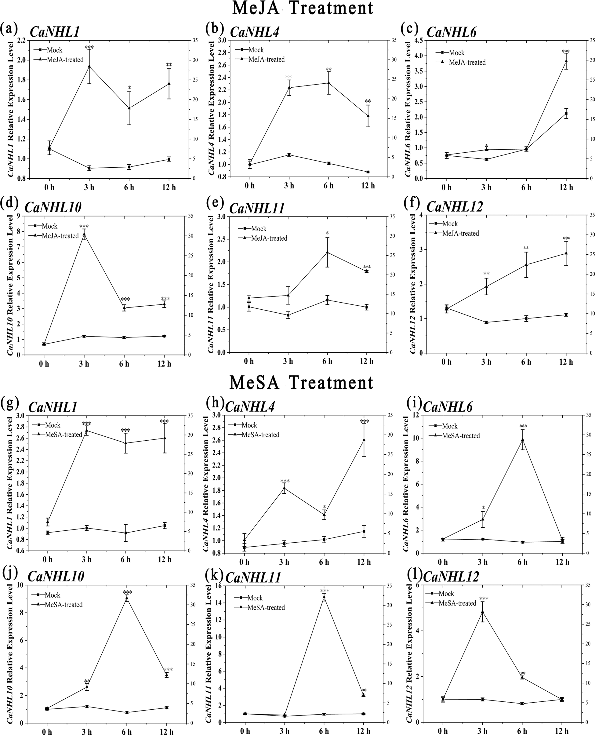 Fig. 4: Relative expression of the CaNHL1, CaNHL4, CaNHL6, CaNHL10, CaNHL11, and CaNHL12 genes in pepper leaves after MeJA and MeSA treatments.