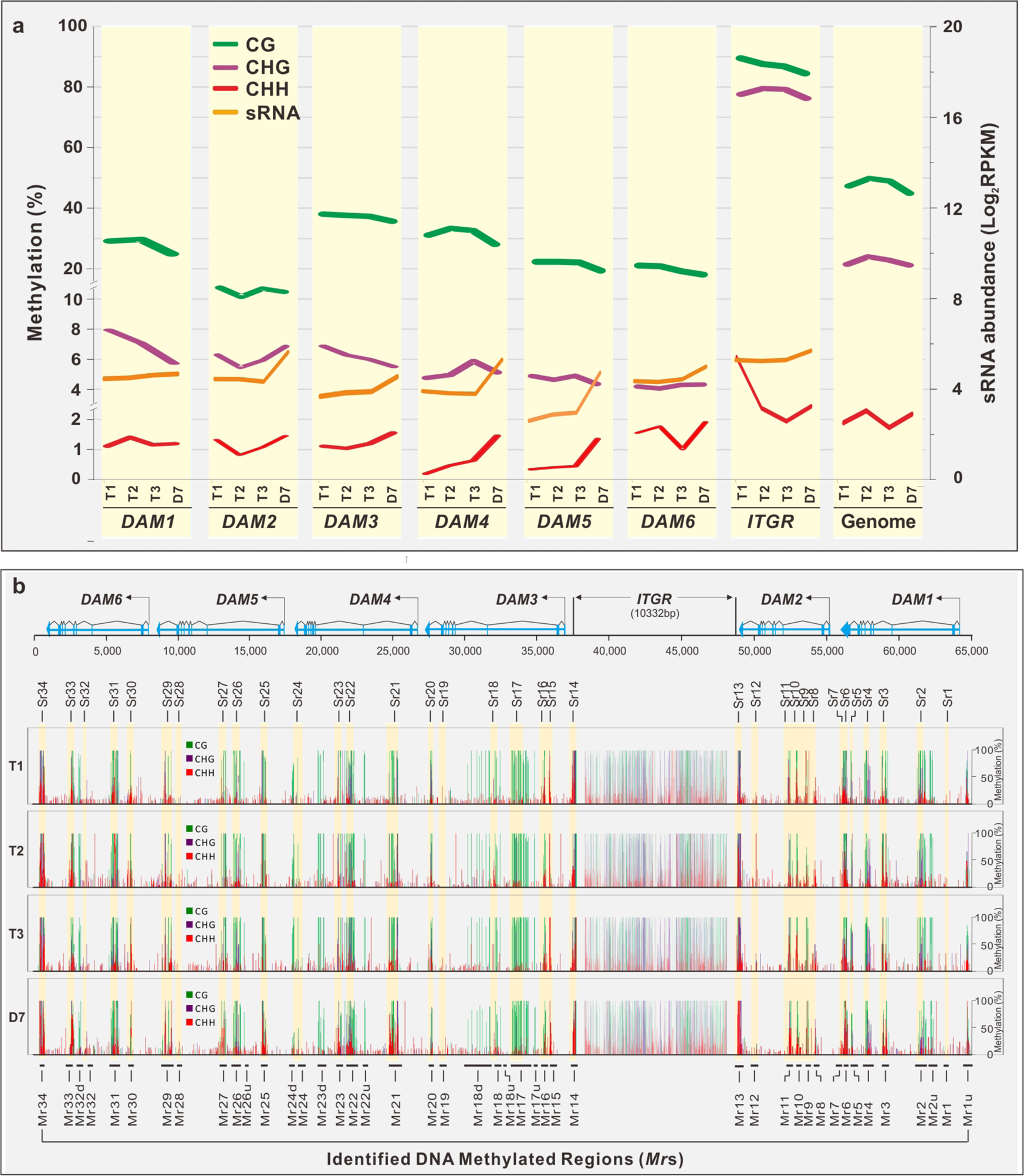 Fig. 3: BS-seq analysis.