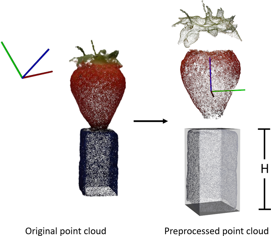 Defining strawberry shape uniformity using 3D imaging and genetic mapping |  Horticulture Research