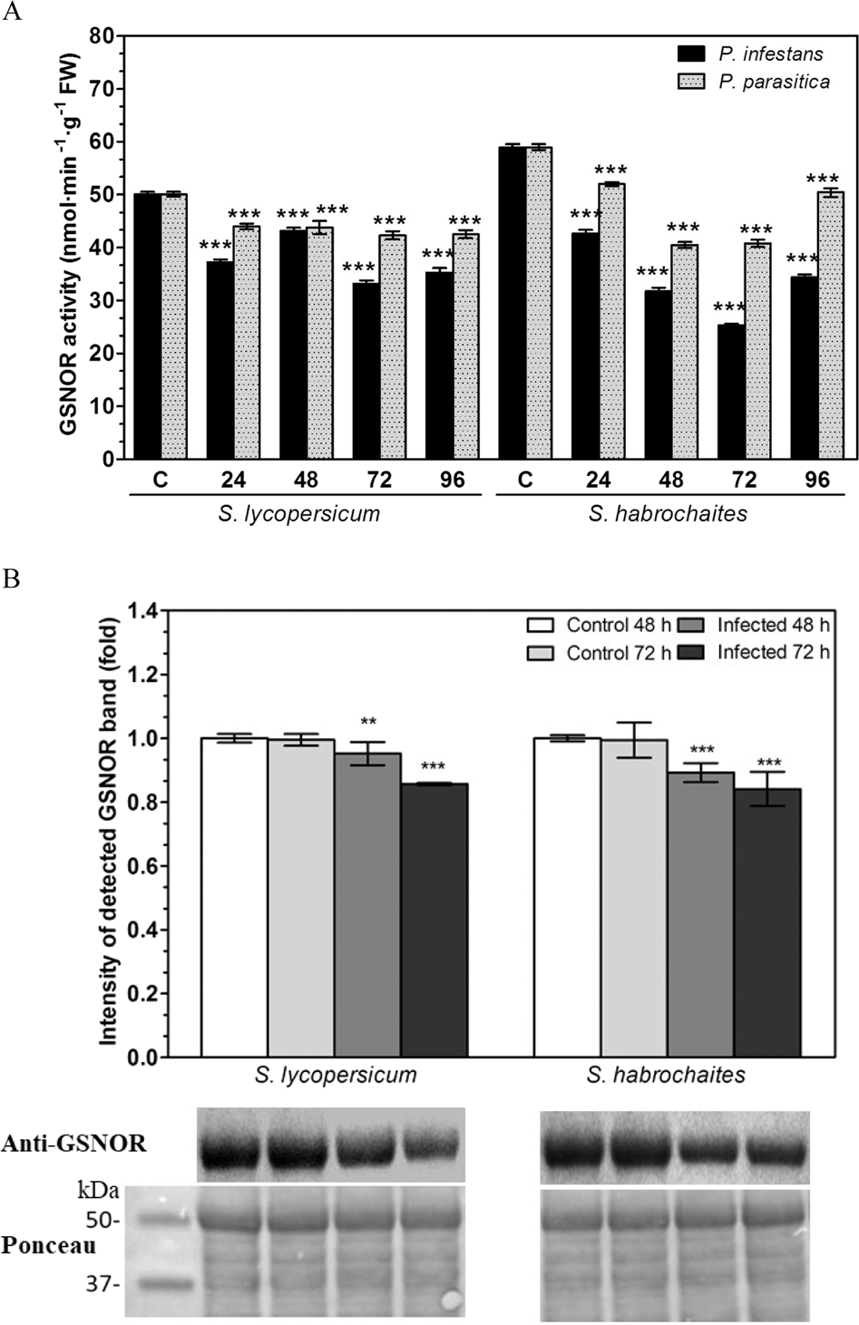 Protein S-nitrosation differentially