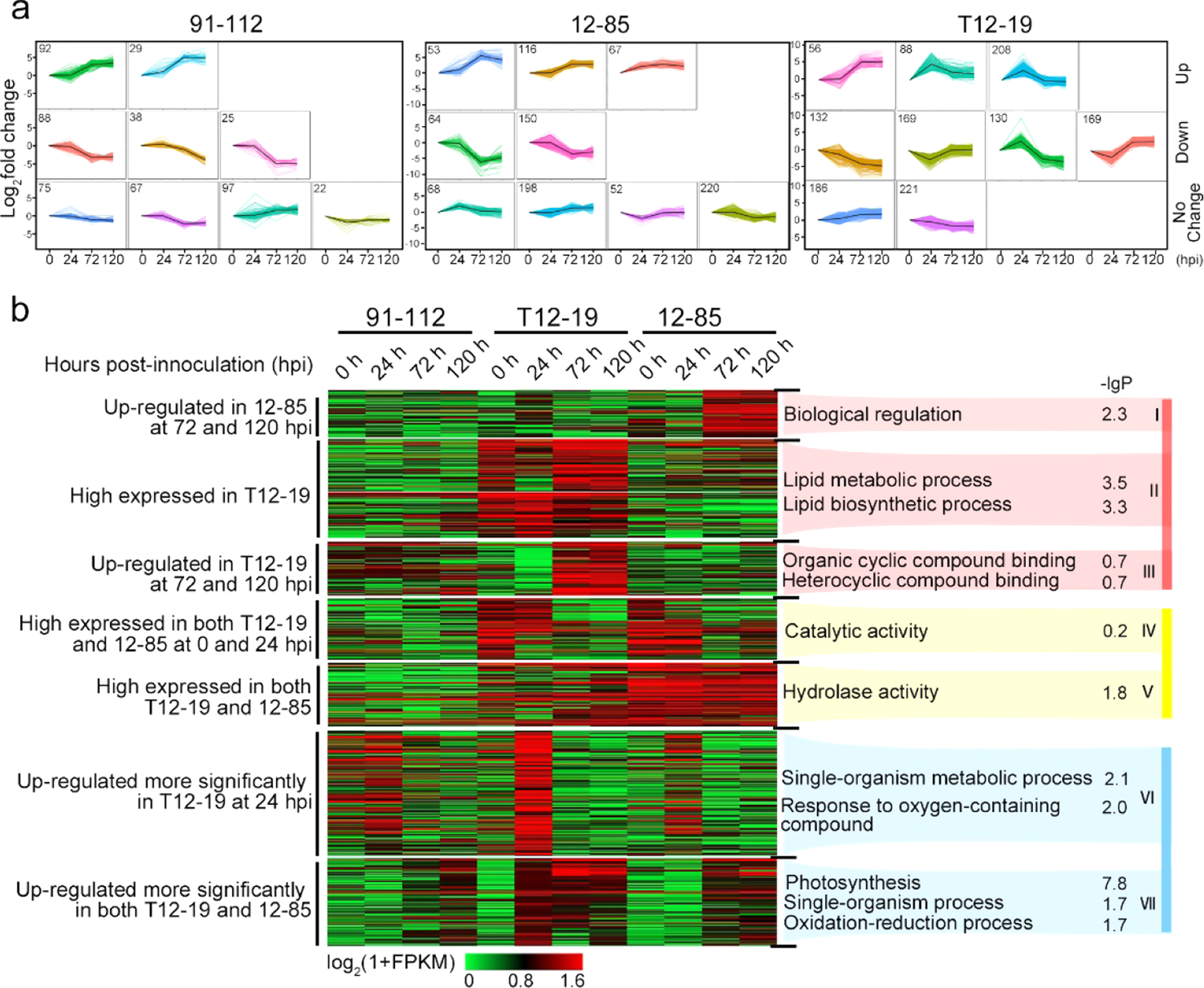 Fig. 3: Characterization of the expression regulation of lncRNAs after H. brassicae infection.