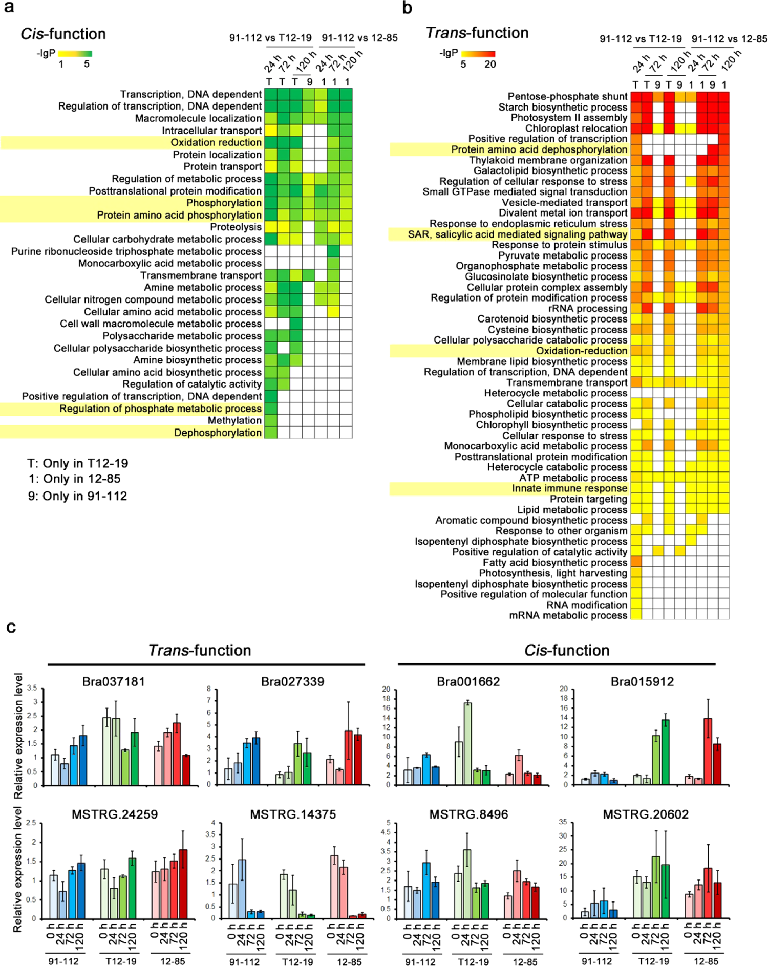 Fig. 4: Functional analysis of trans- and cis-functional lncRNAs/protein-coding gene pairs.