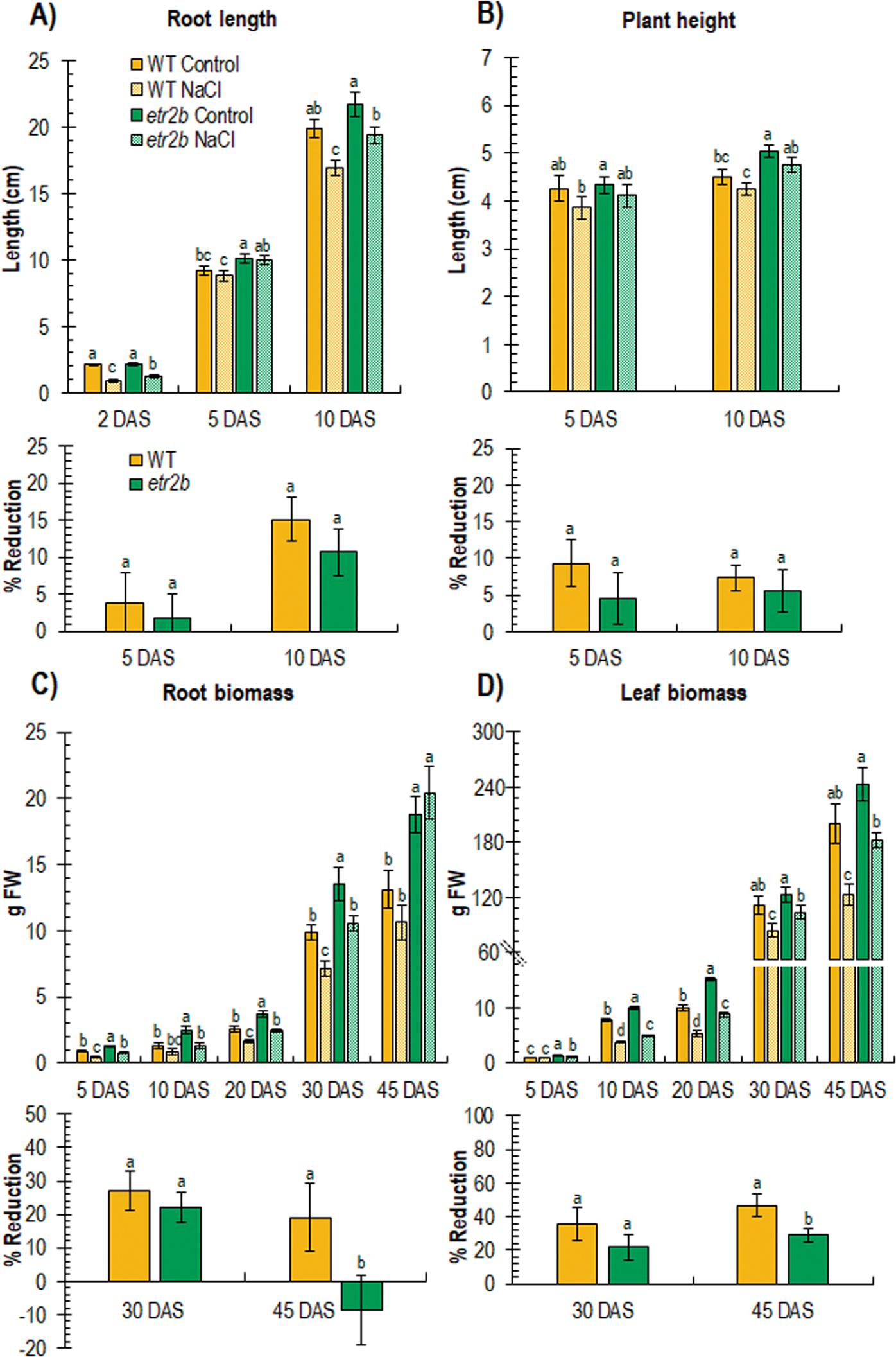 Fig. 4: Effect of salt stress on root and leaf development of WT and ethylene receptor etr2b mutant of C. pepo at different days after sowing (DAS).
