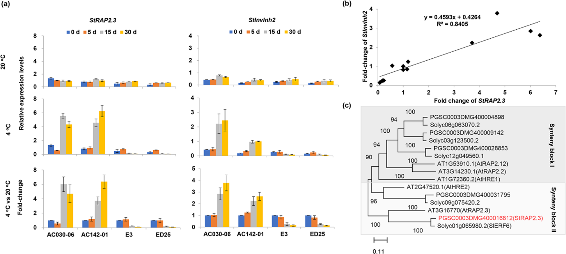 Fig. 1: Cold-response patterns of StRAP2.3 during storage periods and sequence analysis of StRAP2.3.