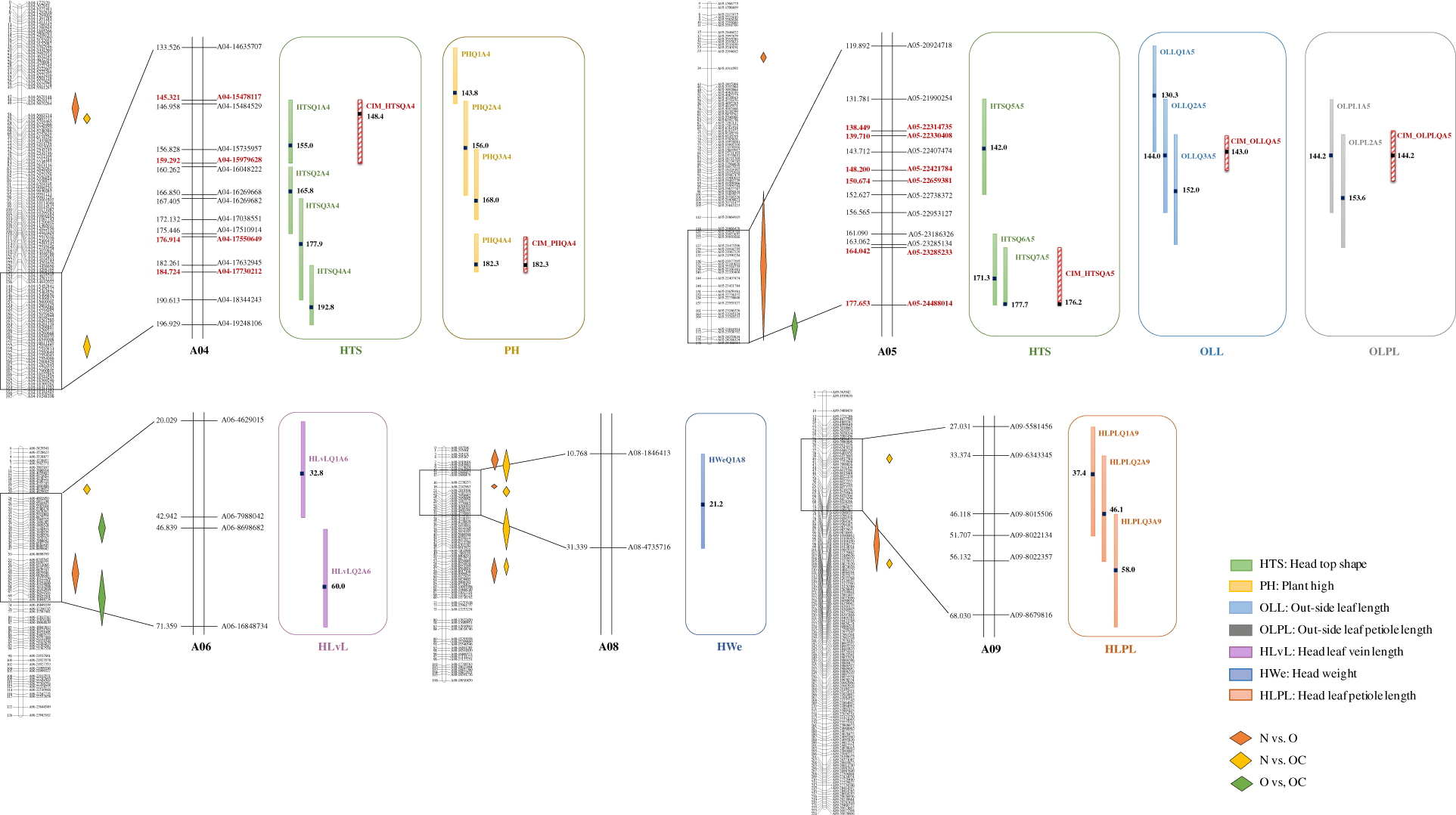 Fig. 2: Quantitative trait locus hotspots for the F2-104 population from the CC-48 × PC-101 cross.