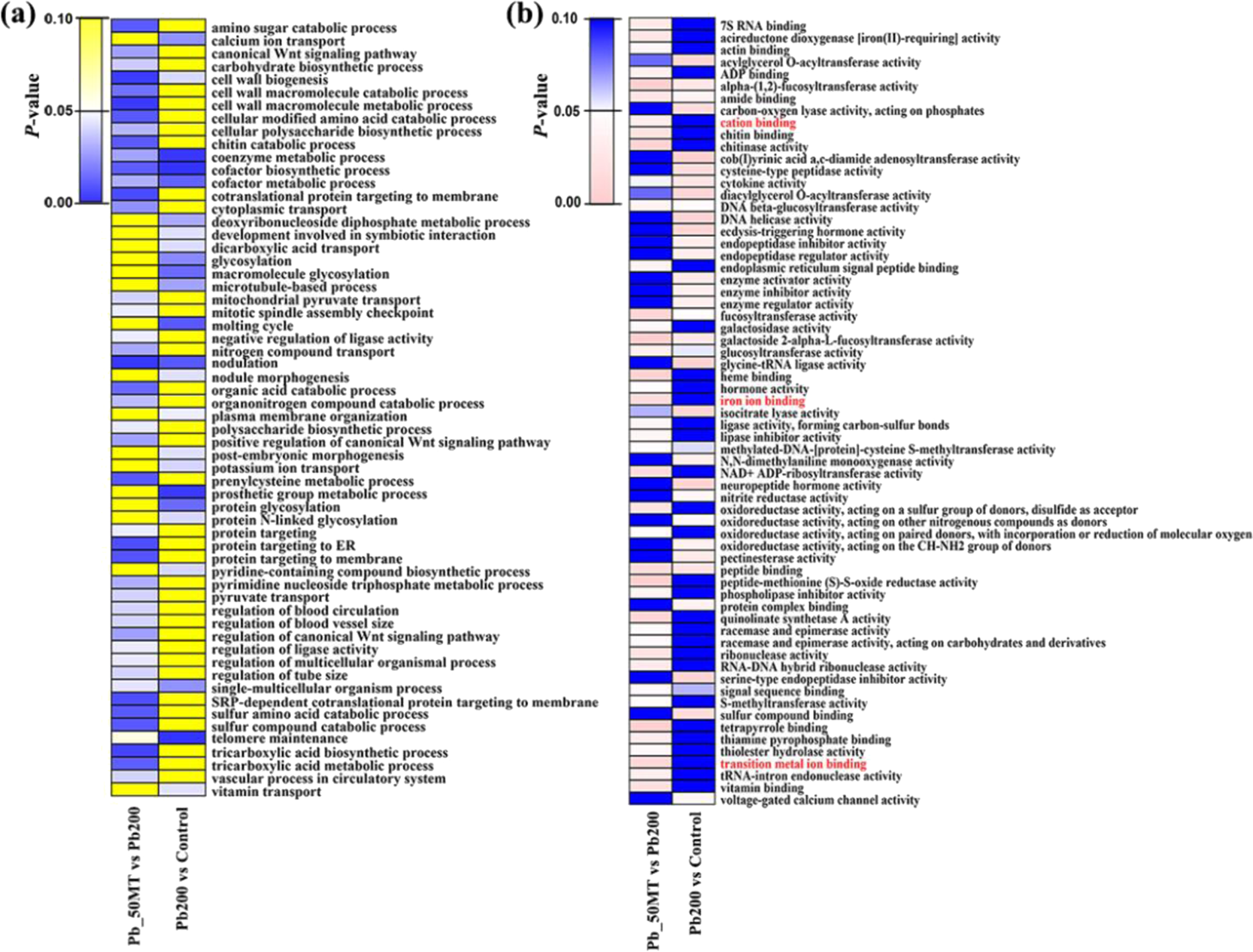 Fig. 6: GO enrichment terms of DMR-associated genes in Pb200 vs Control and Pb_50MT vs Pb200.