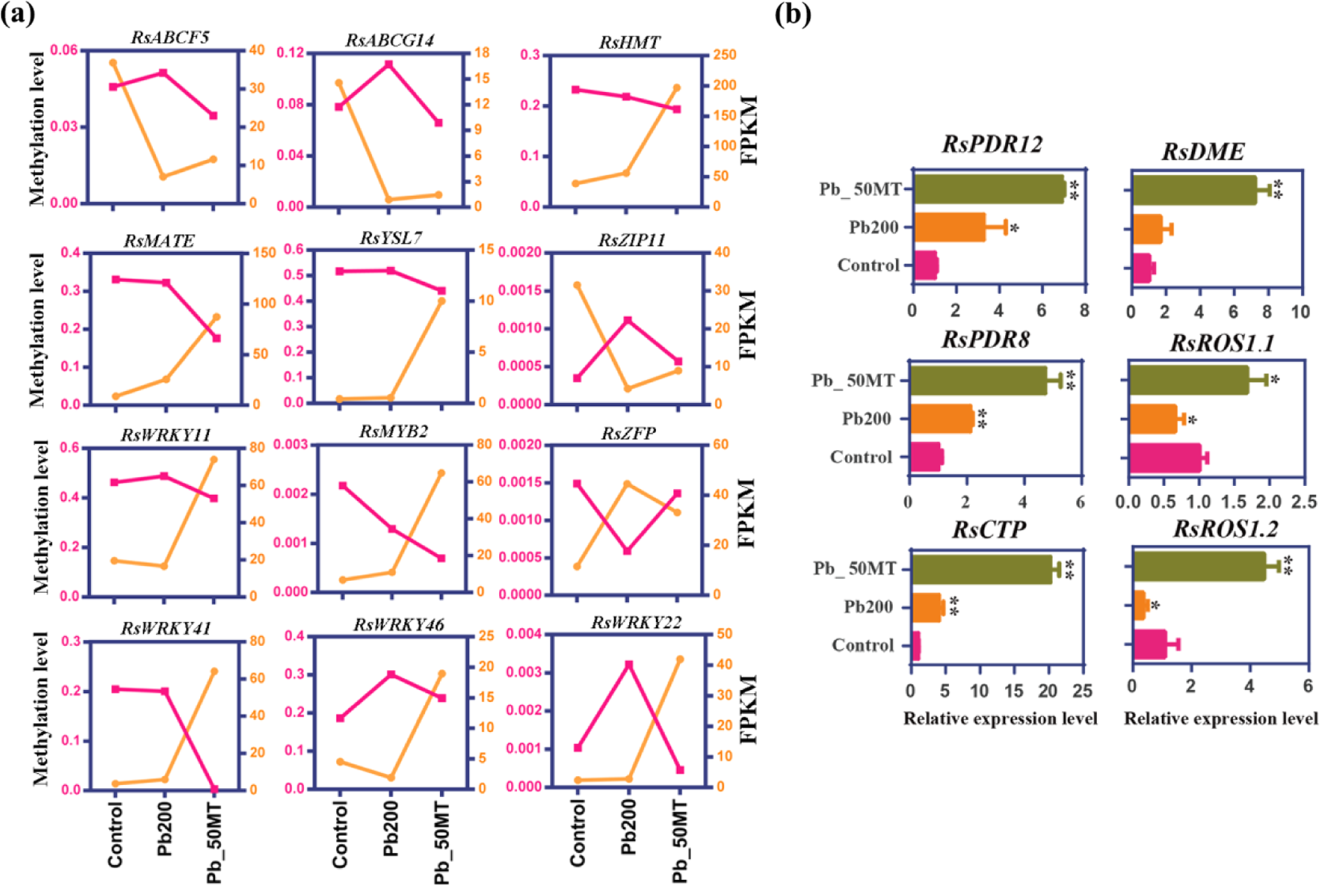 Fig. 7: Expression and methylation analysis of HM-associated genes in response to Pb stress.