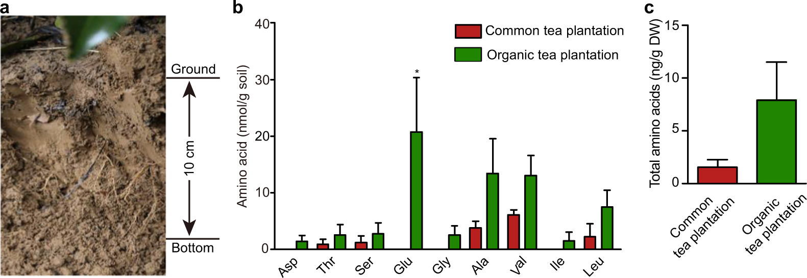 Fig. 1: Amino-acid contents in soils of a conventional (control) tea plantation and an organic tea plantation.