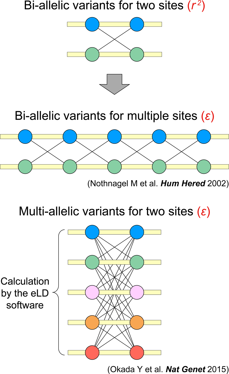eLD: entropy-based linkage disequilibrium index between multiallelic sites  | Human Genome Variation