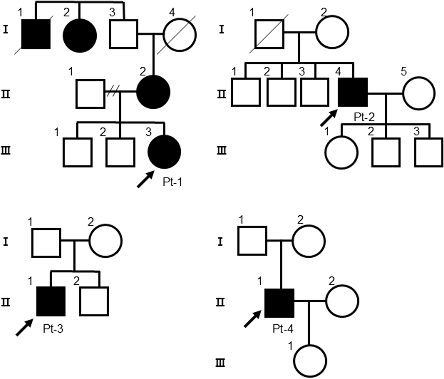 Fig. 1: Family pedigree charts of patients with the DSG2 (c.355 C > T, p.Arg119Ter) variant.