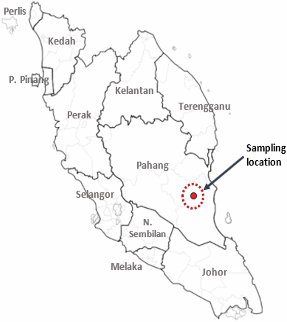 High-coverage whole-genome sequencing of a Jakun individual from the “Orang Asli” Proto-Malay subtribe from Peninsular Malaysia