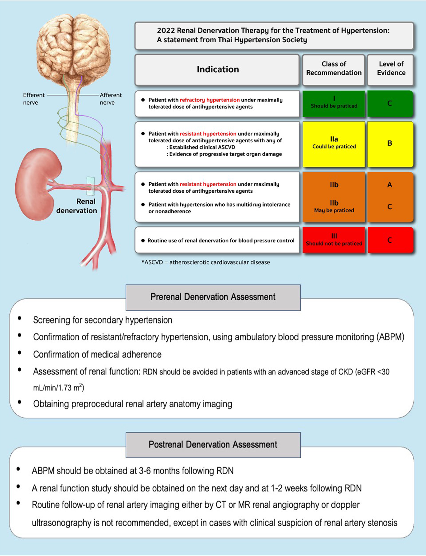 2022 Renal denervation therapy for the treatment of hypertension: a  statement from the Thai Hypertension Society | Hypertension Research