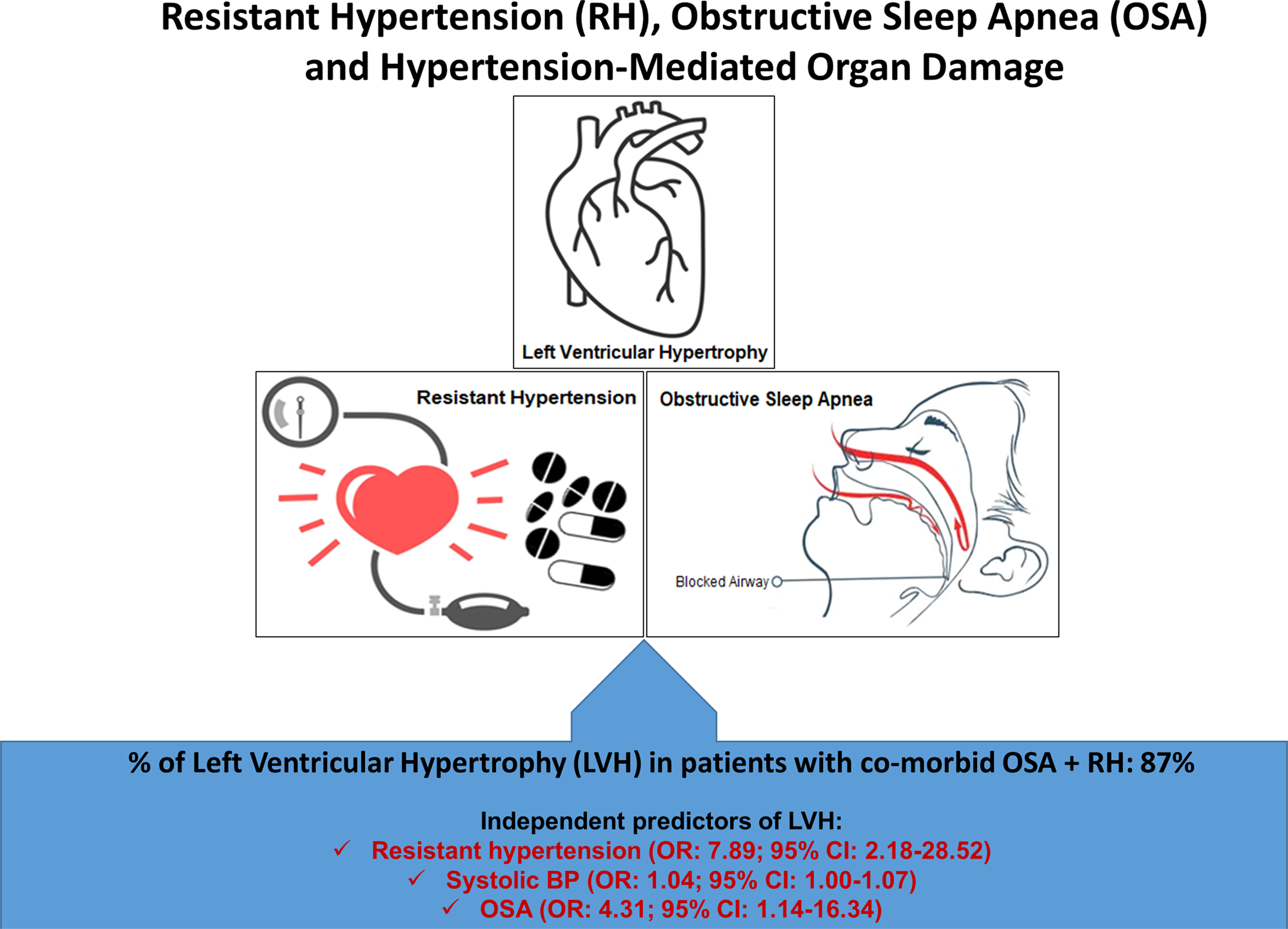 Obstructive sleep apnea and hypertension mediated organ damage in ...