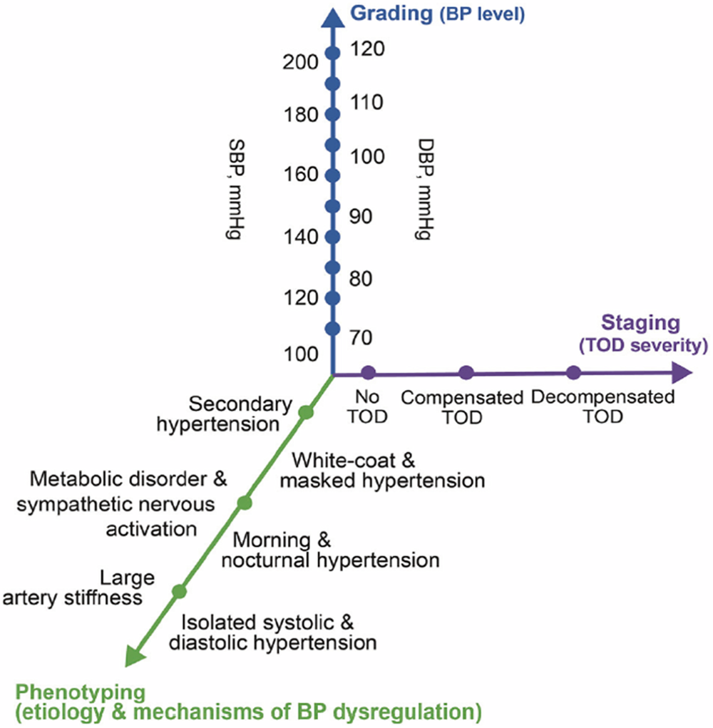 For better blood pressure control in Asia