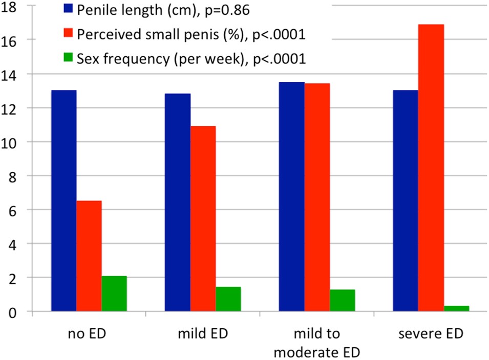 Does underestimated penile size impact erectile function in healthy men? |  International Journal of Impotence Research