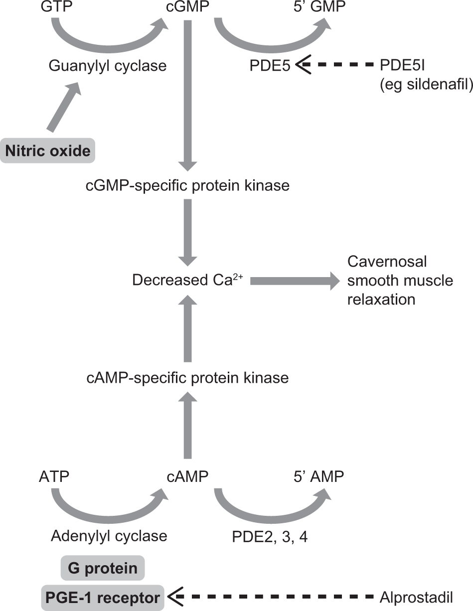 Hydroxychloroquine retinopathy risk factors Hydroxychloroquine retinopathy risk factors