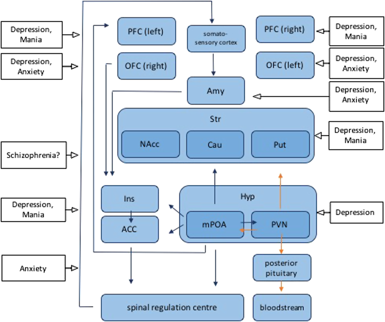 Psychopathology Of Mania In Flow Chart