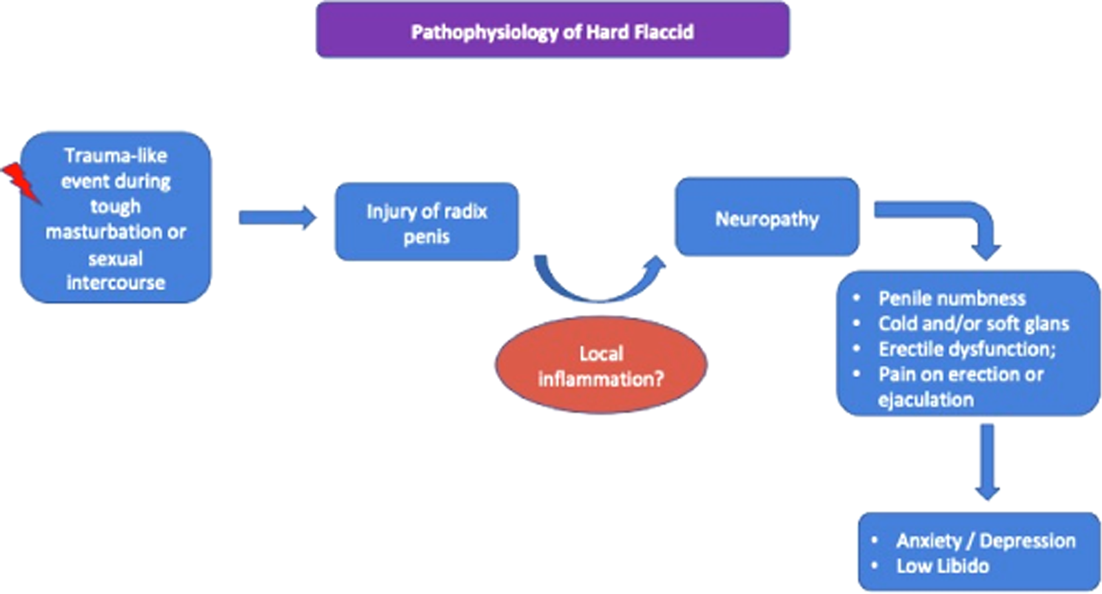 International Journal of Impotence Research - Hard flaccid syndrome: initia...