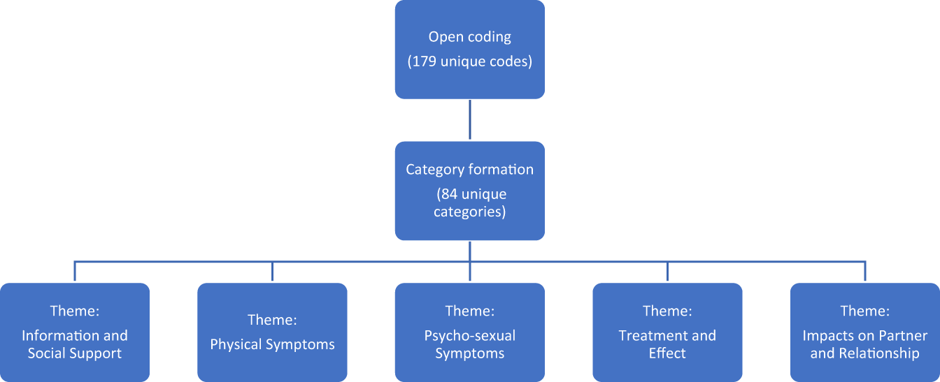 Fig. 1: Coding Process.