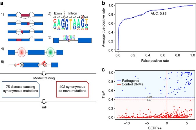 Inherited Variations In Noncoding >> Annotating Pathogenic Non Coding Variants In Genic Regions Nature Inherited Variations In Noncoding >> Annotating Pathogenic Non Coding Variants In Genic Regions Nature
