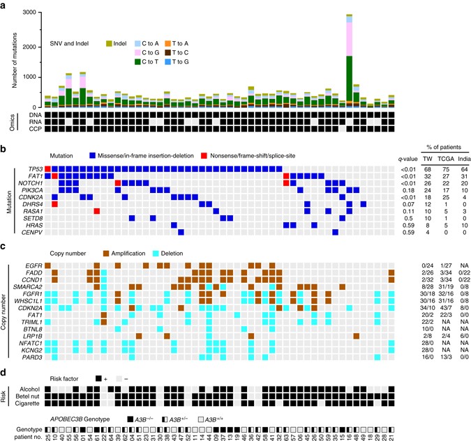 Apobec3a Is An Oral Cancer Prognostic Biomarker In Taiwanese