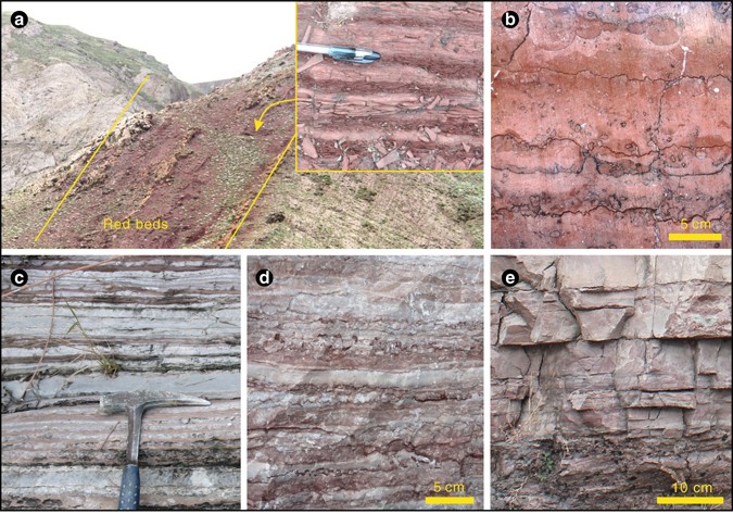 Facies within the Earlie Formation. A) Interbedded sandstone and