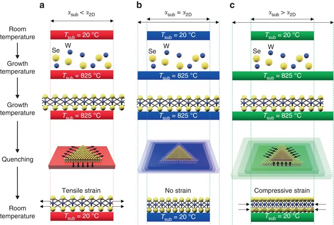 Strain-engineered growth of two-dimensional materials | Nature 