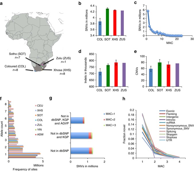 Whole-genome sequencing for an enhanced understanding of genetic variation  among South Africans | Nature Communications
