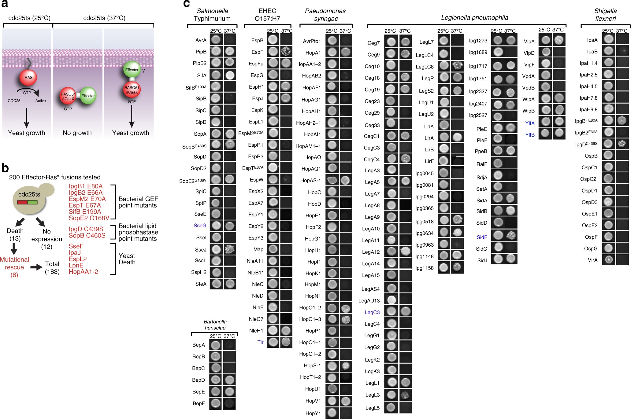 PC LED Membrane Overlay Label Control Panel for SPA - China LED