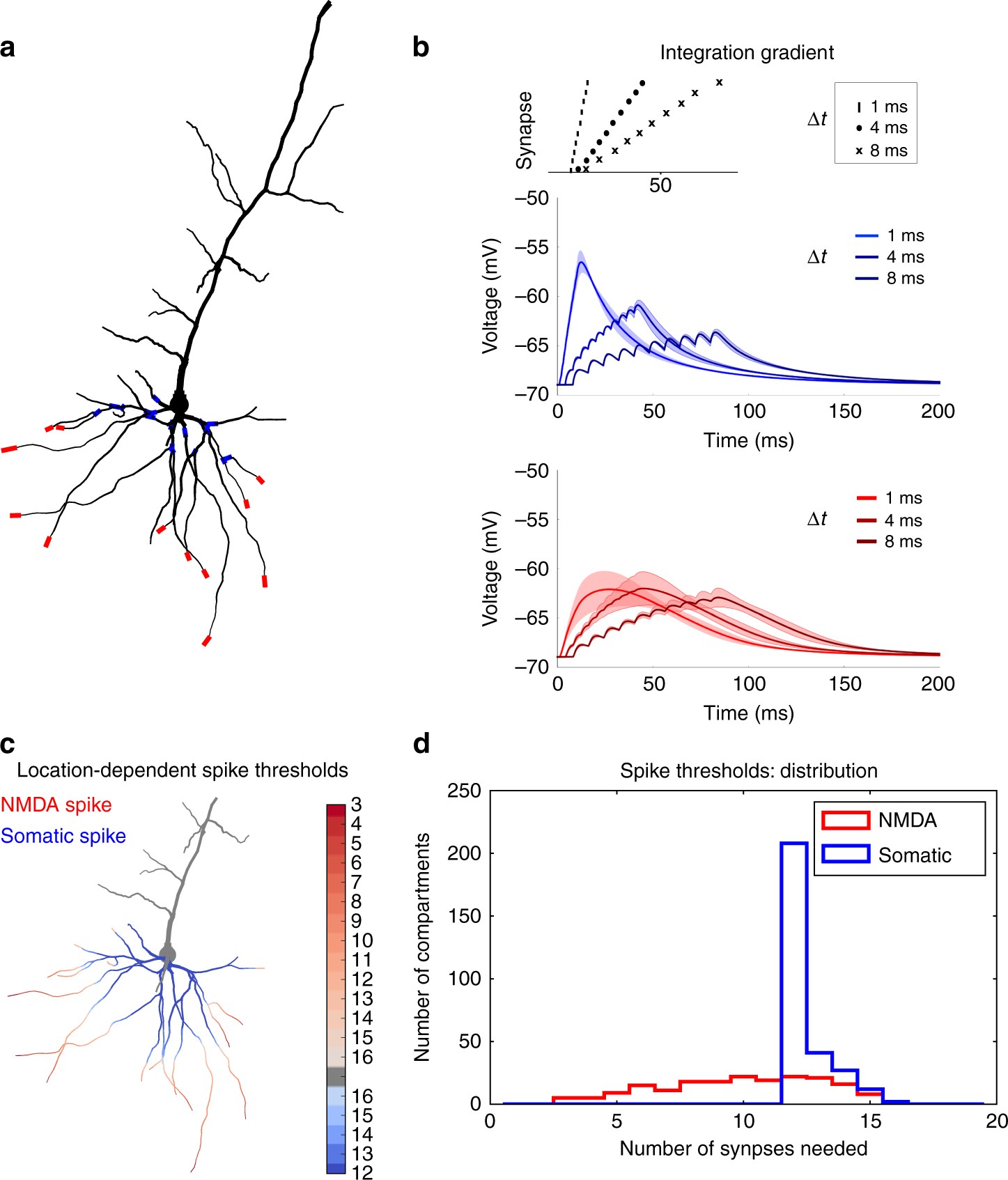 Introducing the Dendrify framework for incorporating dendrites to spiking  neural networks